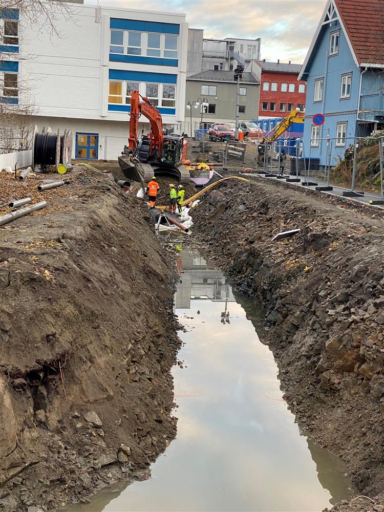 Klikk for stort bilde